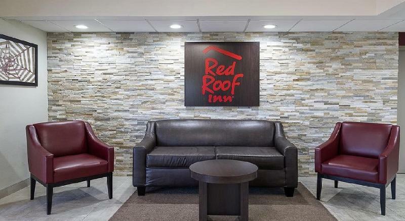 Red Roof Inn Tampa Bay - São Petersburgo Exterior foto